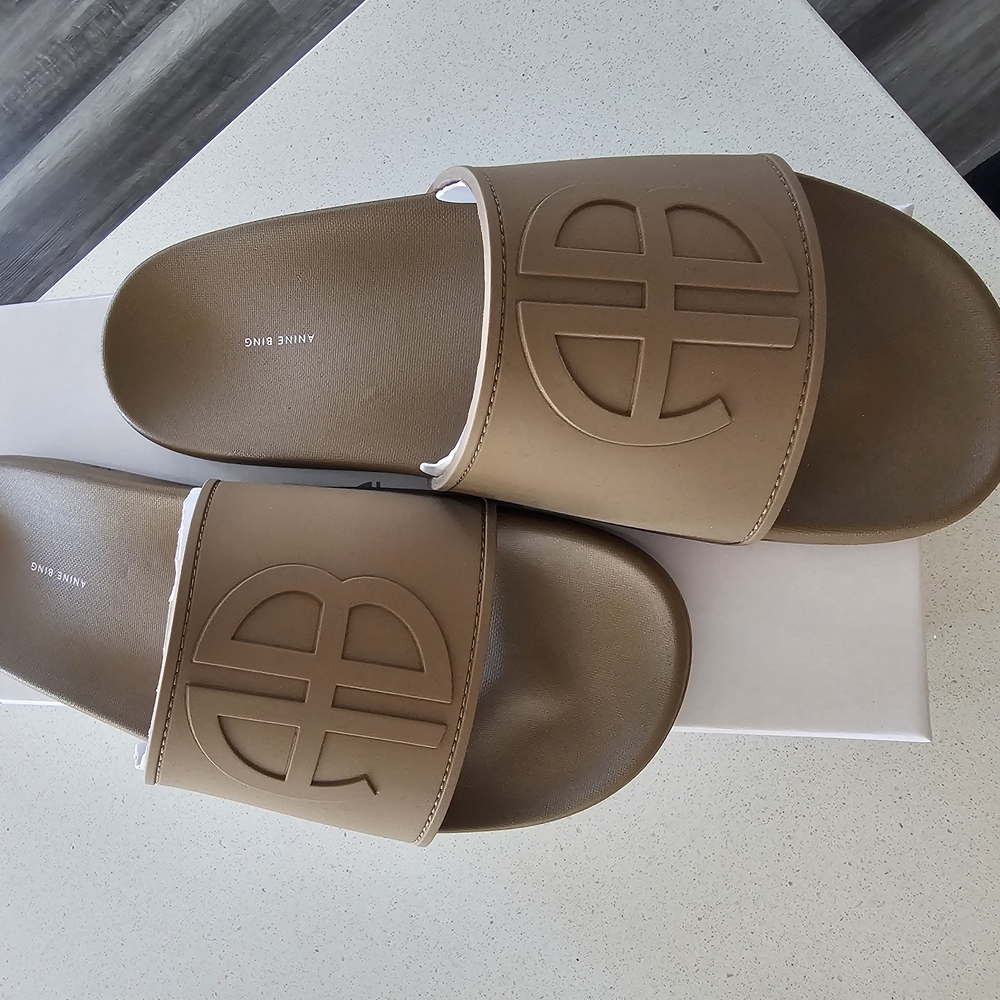 NEW Anine Bing Brown Slides